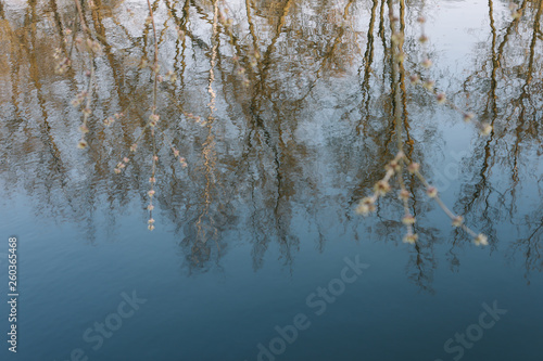 spring nature background. reflection in water. spring wallpaper. Abstract blurred background. Springtime. copy space