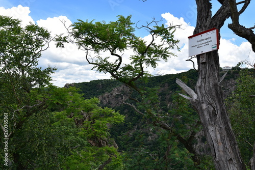 Wandern im Harz photo