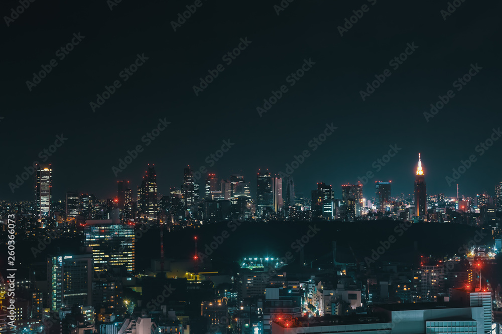 View of the Shinjuku skyline from Shibuya, Tokyo, Japan