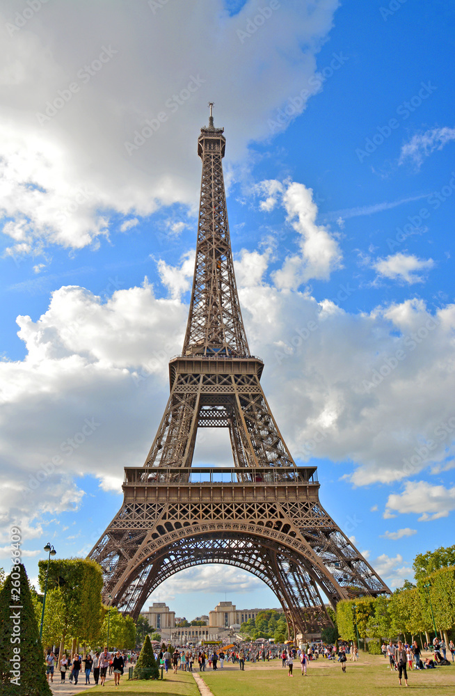 Fototapeta premium View of Eiffel Tower from Champ de Mars. Paris, France