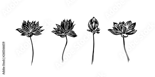 Hand drawn lotus outline sketch. Vector black ink drawing flowers set. Graphic illustration, isolated on white background