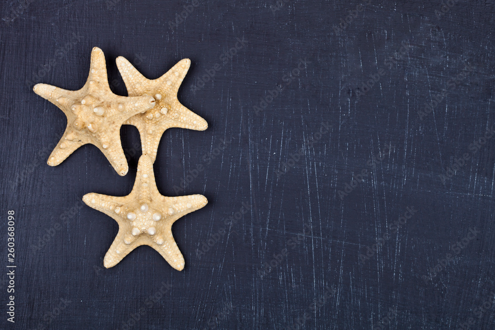 Top view of three starfish on black background. Top view of three starfish on black background.