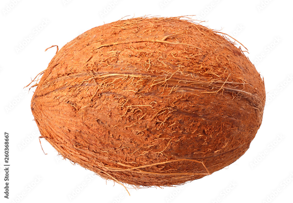 fresh coconut isolated on a white background fresh coconut isolated on a white background