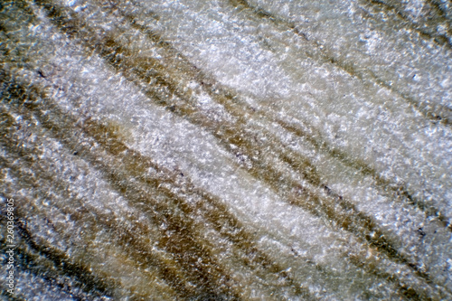 The texture of the marble. Beautiful marble. Light background. Geology concept. Minerals.