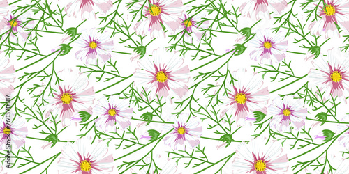 Floral pattern chammomile. Florals vector surface design.