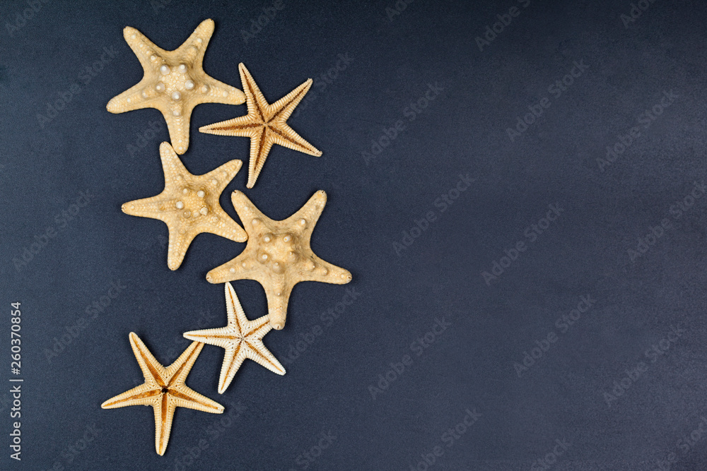 Top view of five starfish on black background. Top view of five starfish on black background.