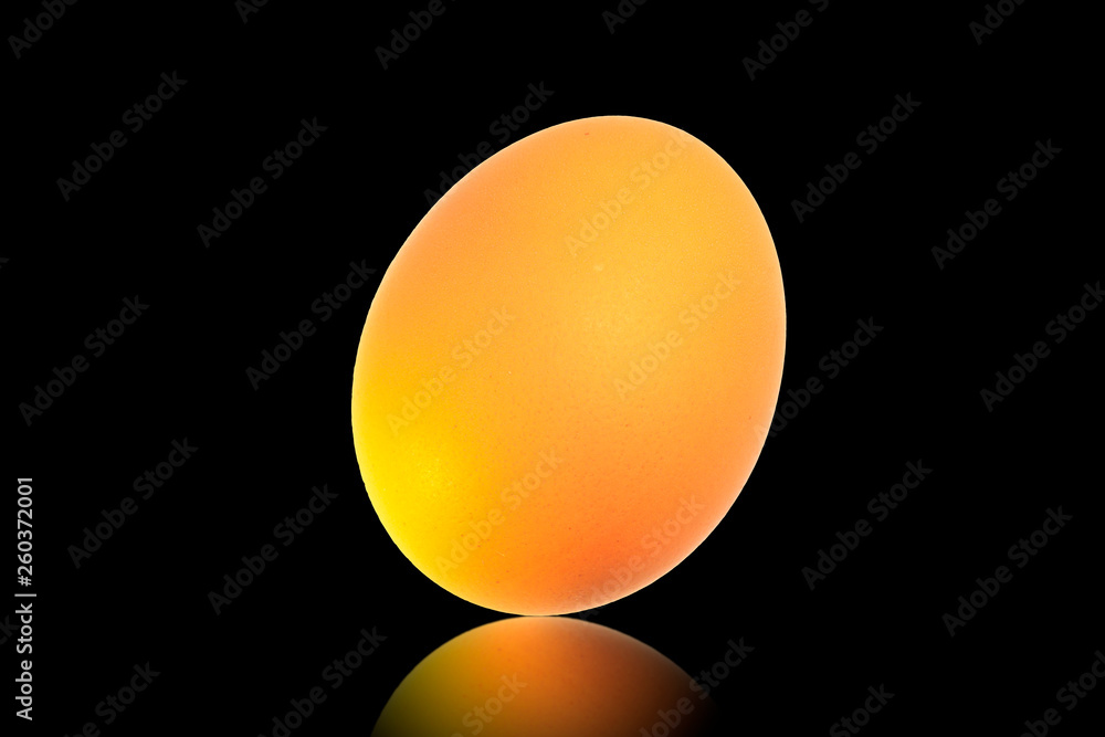 Orange egg on black background