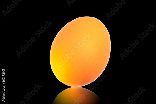 Orange egg on black background