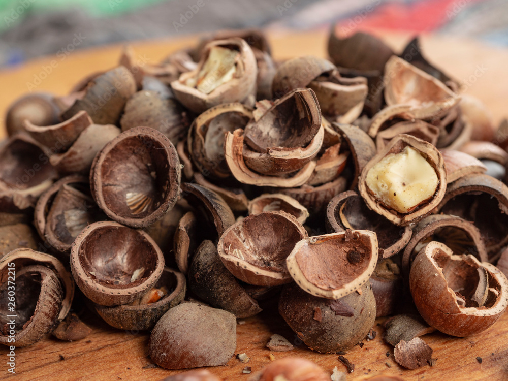 hazelnuts hazelnuts