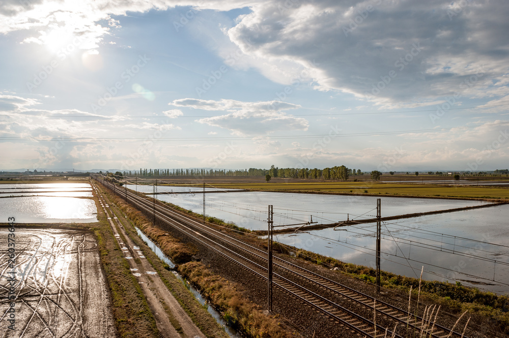 Railway line between the rice fields