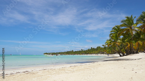 Tropical beach with coconut palm trees, Maldives travel destination. Peaceful tropical beaches. lagoon paradise clear blue sea, coconut palm trees, white sandy beach at Bora Bora island, Tahiti © murkalor7