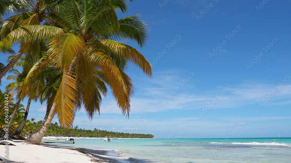 Caribbean white sand island beach, summer landscape relaxation background, tropical travel vacation. Dominican Republic turquoise sea water. Idyllic tranquil palms resort. Honeymoon cruise blue lagoon