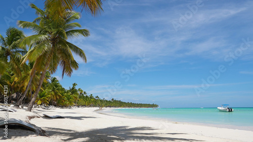 Palms island beach and blue Atlantic ocean. Travel to Dominican Republic island. Summer background. Big wild beach with palm trees and white sand blue water and sky. Beautiful turquoise sea