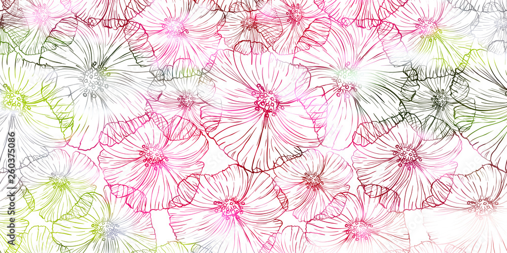 Fototapeta premium seamless patterns poppy graphic. Vector floral illustration.