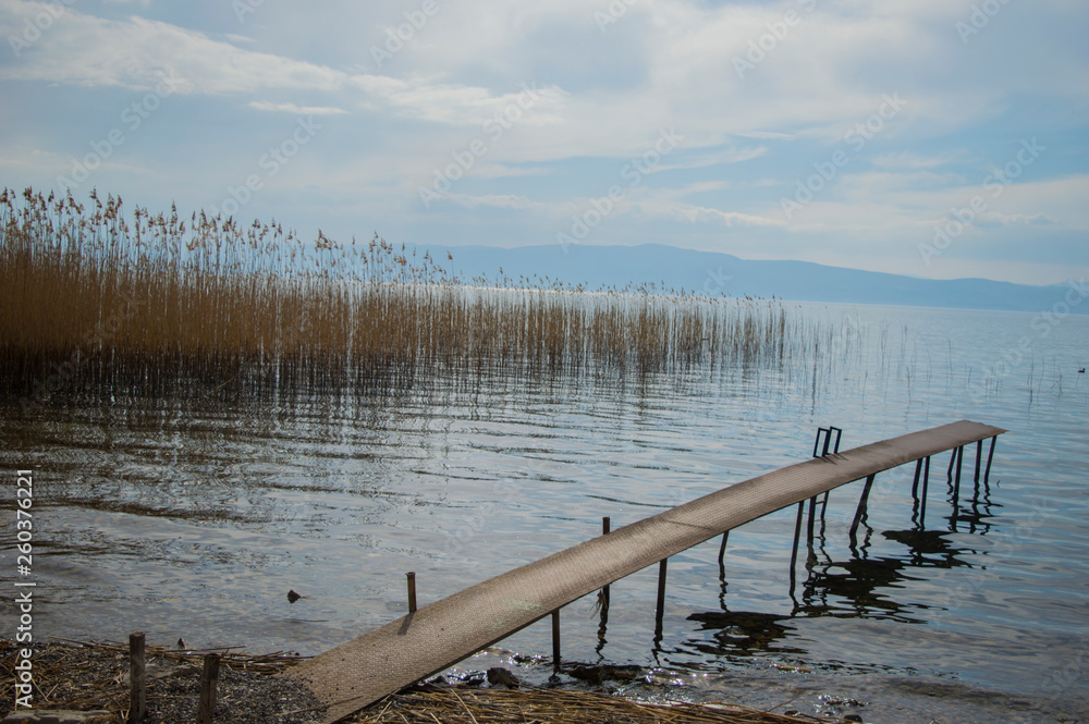 Small improvised pier in a lake with a lot of grown Phragmites in the lake