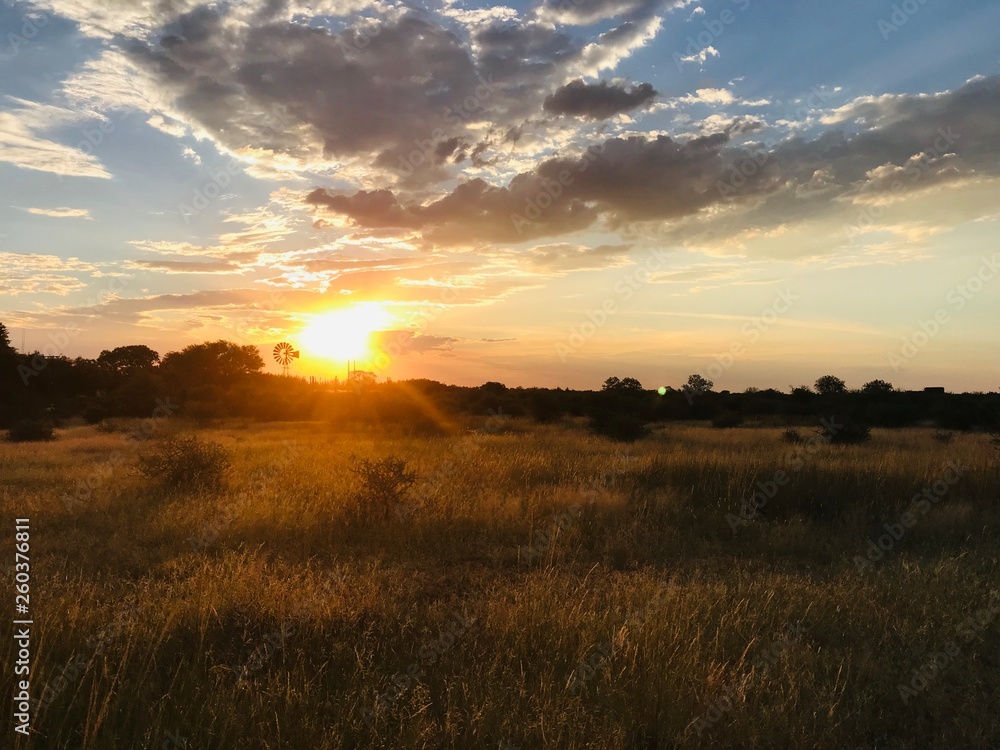 sunset over field