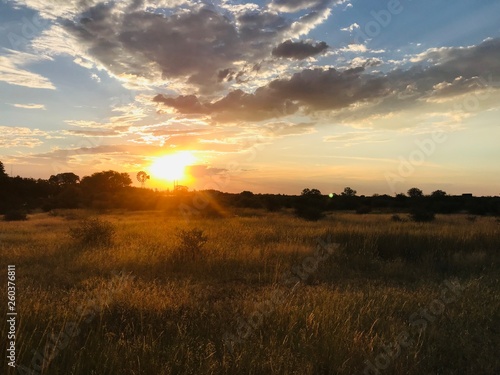 sunset over field © Katya