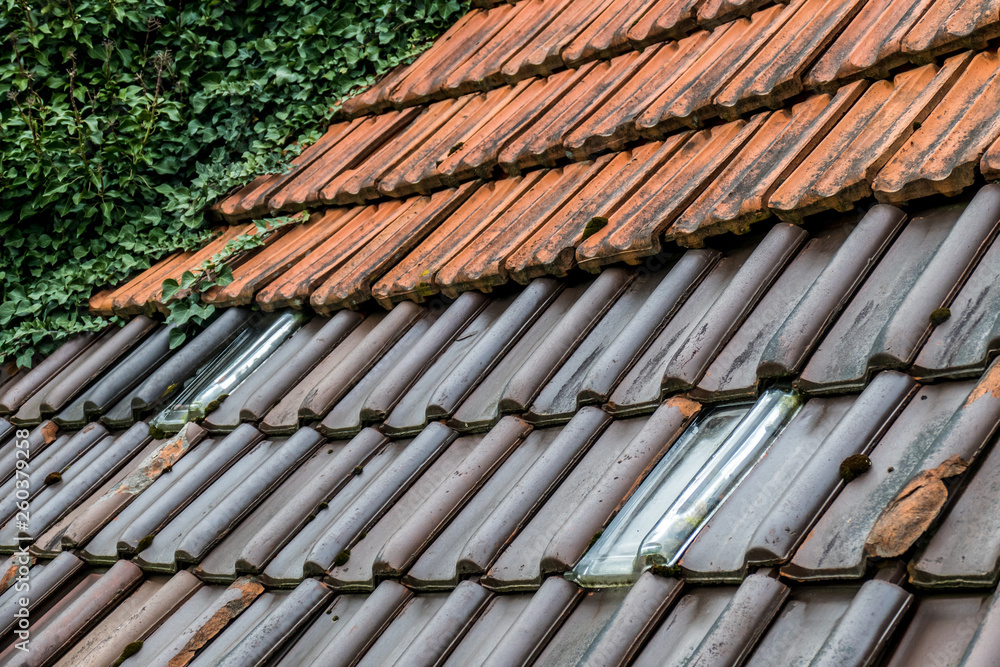 Bemoostes und zugewachsenes Dach am Altbau Bemoostes und zugewachsenes Dach am Altbau