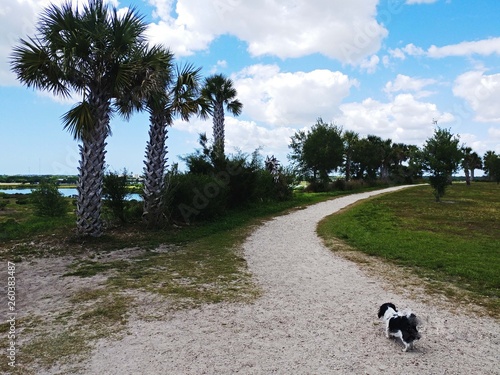 Celery Fields city park in Sarasota Florida