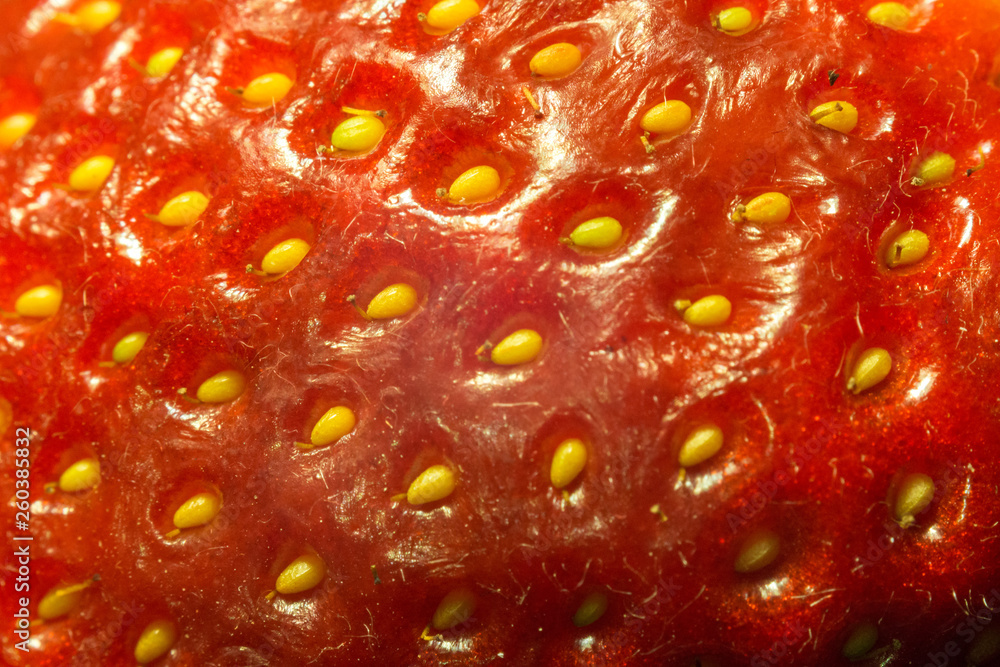 Strawberry Strawberry