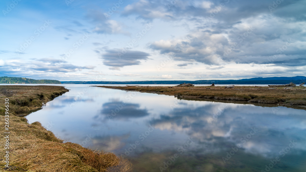 Obraz premium Tidal Lands Marsh On Puget Sound