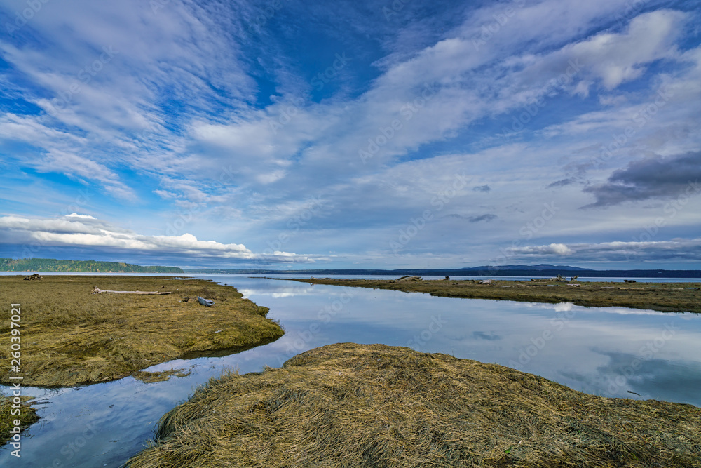 Fototapeta premium Tidal Lands Marsh On Puget Sound