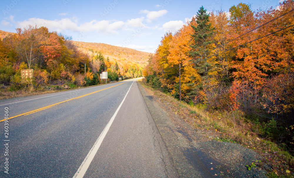 Road in Cape Breton in autumn