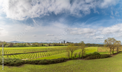 A panoramic of a large green river valley with vineyards, pasture, trees and bushes. Farm buildings can be seen in the distance. A big blue sky with dramatic clouds are above the valley.