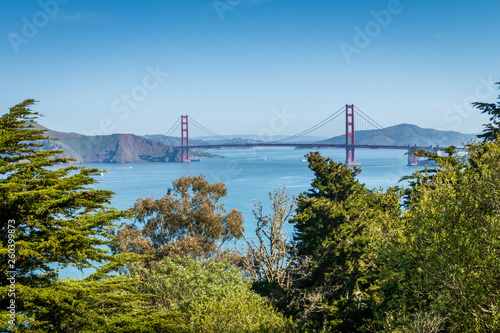 Golden Gate Bridge from Lincoln Park in San Francisco across the entrance to the bay. Trees are in the foreground. Blue sky.