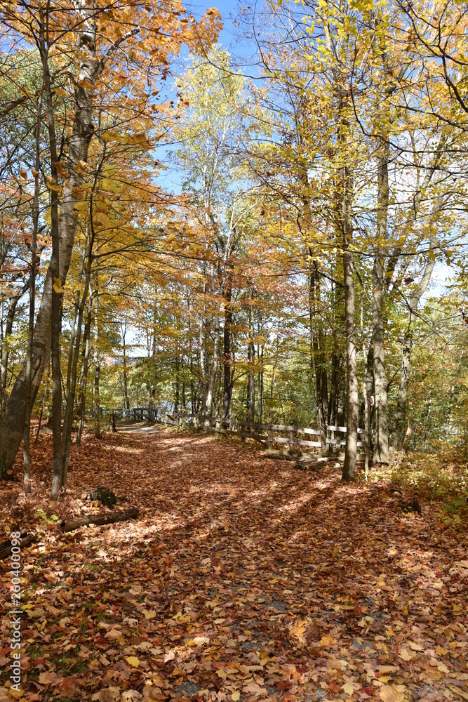 Colorful autumn landscape Colorful autumn landscape