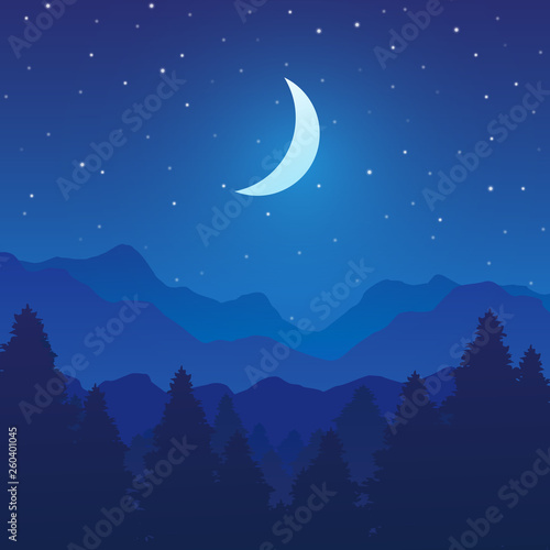 Mountain and forest landscape with trees on night, Vector illustration 
