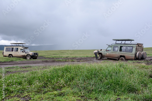 Safari game drive in Ngorongoro in Tanzania