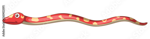 A red snake on white background