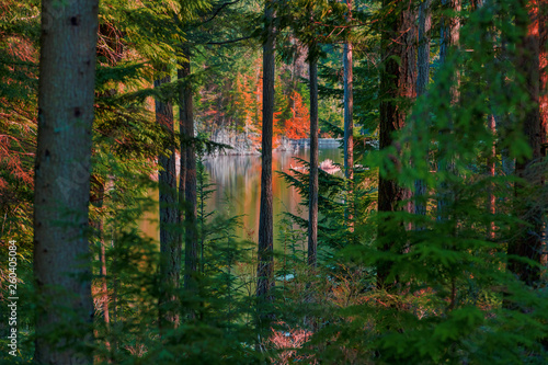 Scenic beautiful landscapes with vivid colours featuring nature in the forest  on the ocean and in the mountains of Bowen Island BC Canada in the Pacific North West just outside Vancouver.