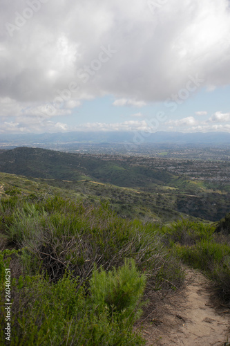 Aliso & Woods Canyon Wilderness trail in the spring after a rainy season, Laguna Beach, CA hiking trails.