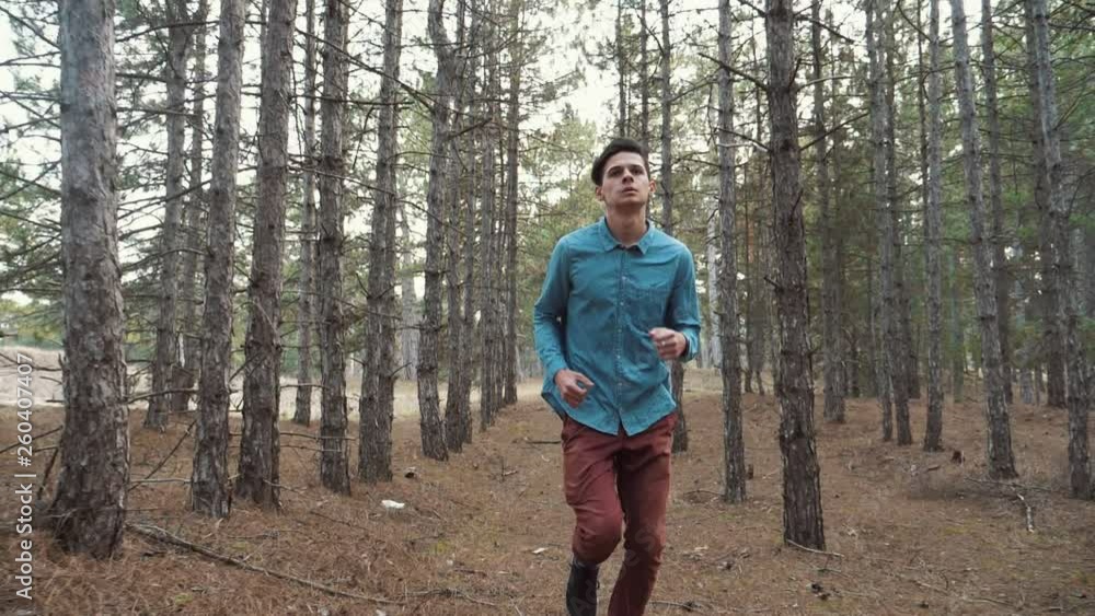 Cheery brunet man jogging in a pine forest on a sunny day in spring in slo-mo Cheery brunet man jogging in a pine forest on a sunny day in spring in slo-mo