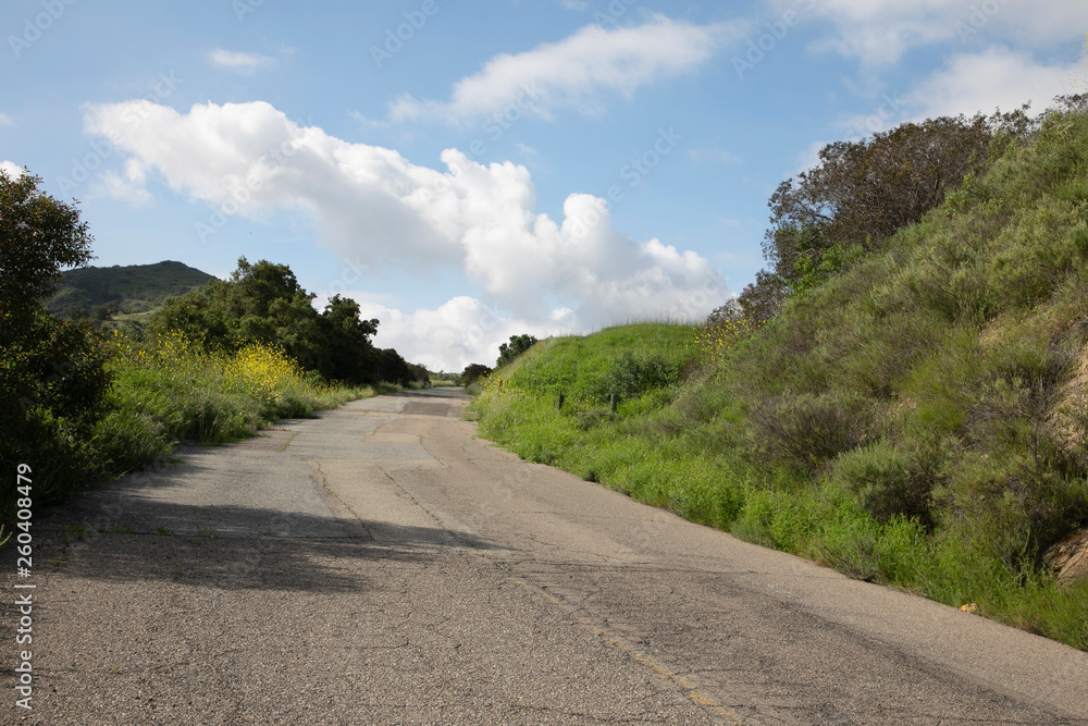 Fototapeta premium Hiking through the Limestone Canyon Regional Park after a rainy season