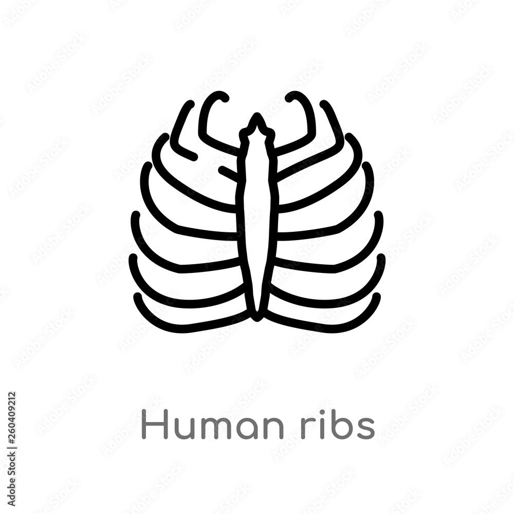 outline human ribs vector icon. isolated black simple line element illustration from human body parts concept. editable vector stroke human ribs icon on white background outline human ribs vector icon. isolated black simple line element illustration from human body parts concept. editable vector stroke human ribs icon on white background