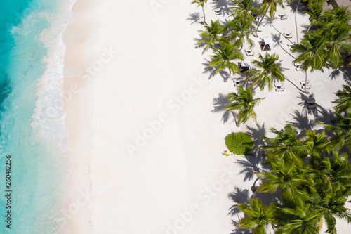 Aerial view on tropical island with coconut palm trees and caribbean sea © photopixel