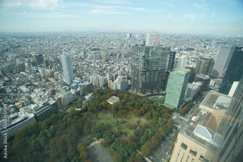 Naklejka premium 東京都庁展望台の眺め