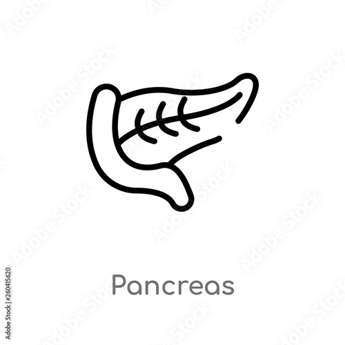 outline pancreas vector icon. isolated black simple line element illustration from medical concept. editable vector stroke pancreas icon on white background