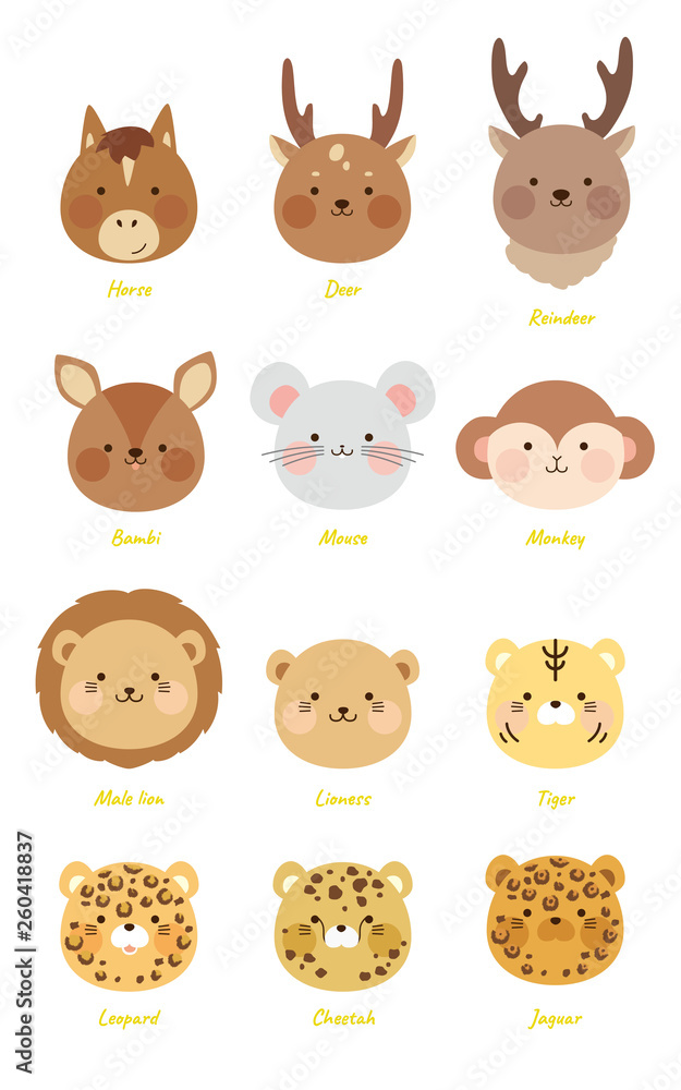 かわいい動物たち かわいい動物たち