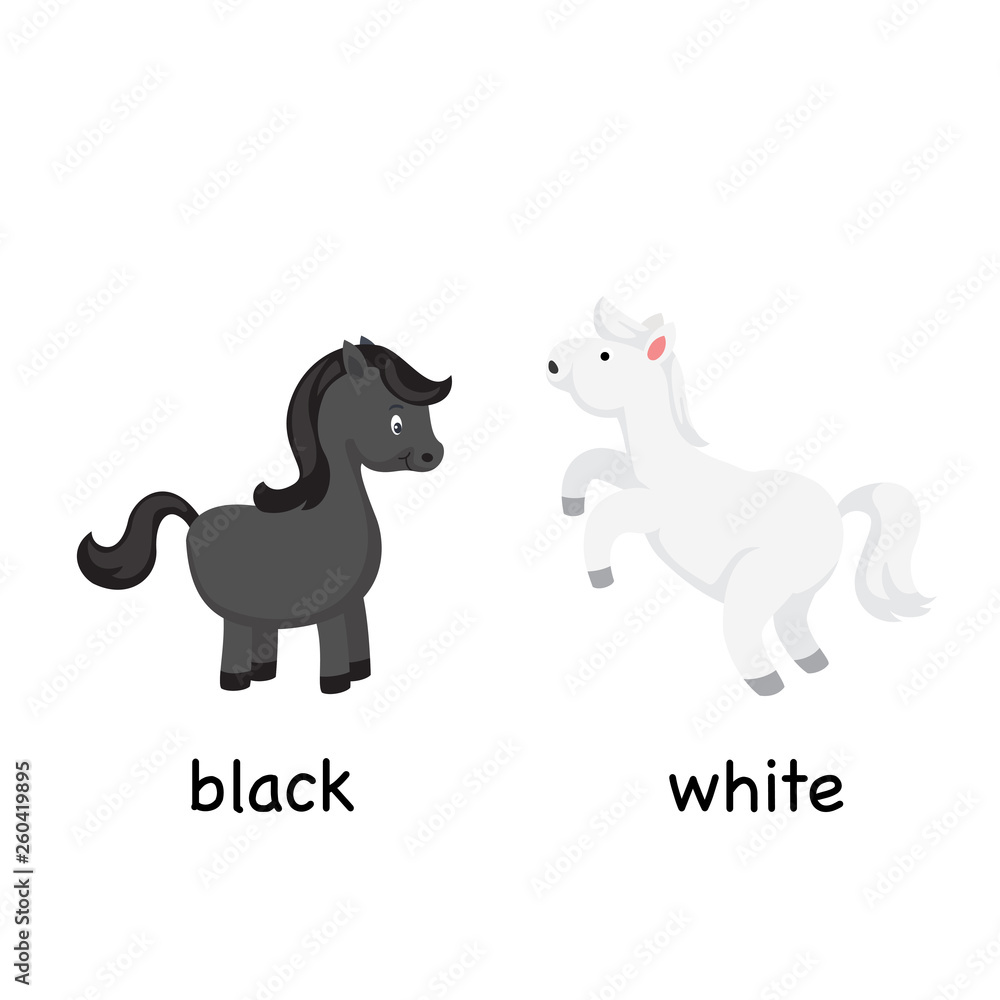 Opposite black and white vector illustration Opposite black and white vector illustration