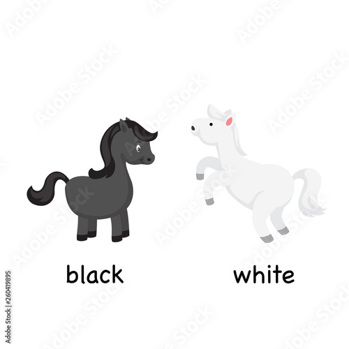 Opposite black and white vector illustration