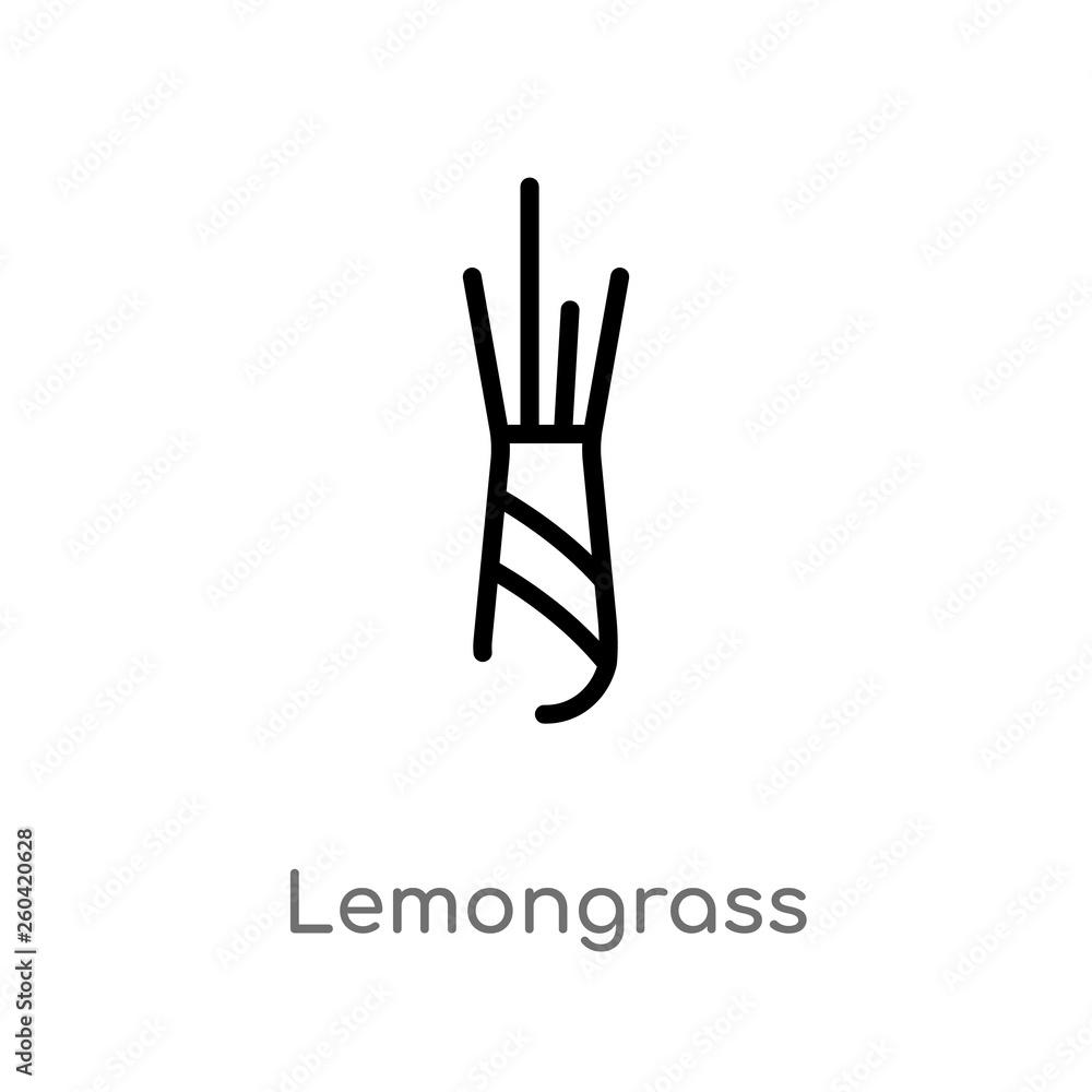 Fototapeta premium outline lemongrass vector icon. isolated black simple line element illustration from nature concept. editable vector stroke lemongrass icon on white background