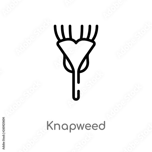 Wallpaper Mural outline knapweed vector icon. isolated black simple line element illustration from nature concept. editable vector stroke knapweed icon on white background Torontodigital.ca