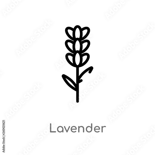 outline lavender vector icon. isolated black simple line element illustration from nature concept. editable vector stroke lavender icon on white background