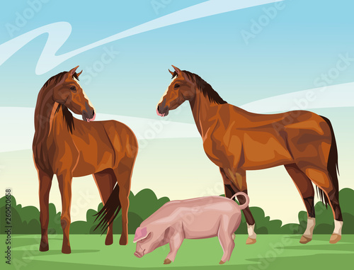 horse and pig