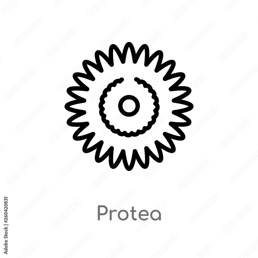 outline protea vector icon. isolated black simple line element illustration from nature concept. editable vector stroke protea icon on white background outline protea vector icon. isolated black simple line element illustration from nature concept. editable vector stroke protea icon on white background