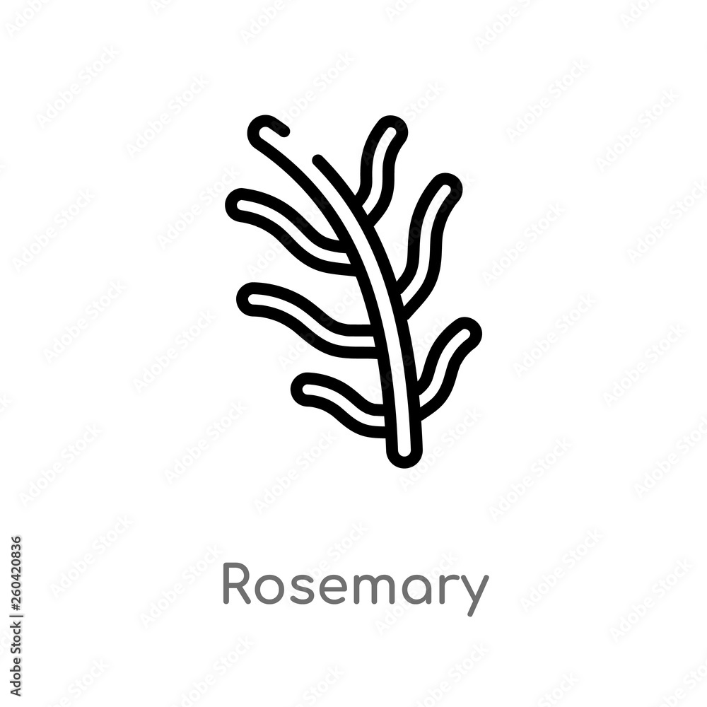 outline rosemary vector icon. isolated black simple line element illustration from nature concept. editable vector stroke rosemary icon on white background